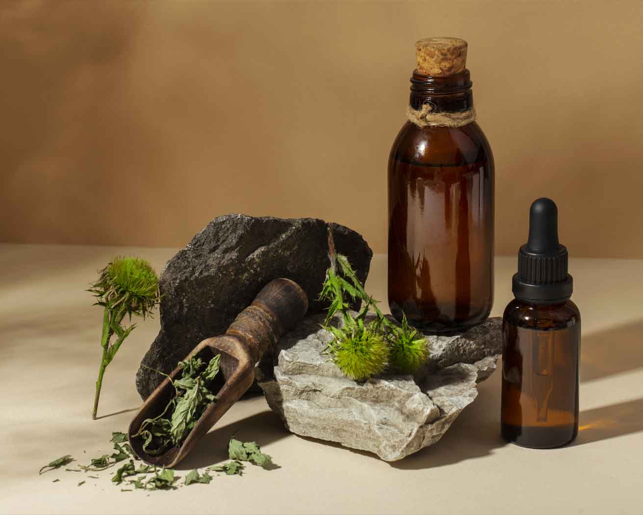 Ayurveda Services